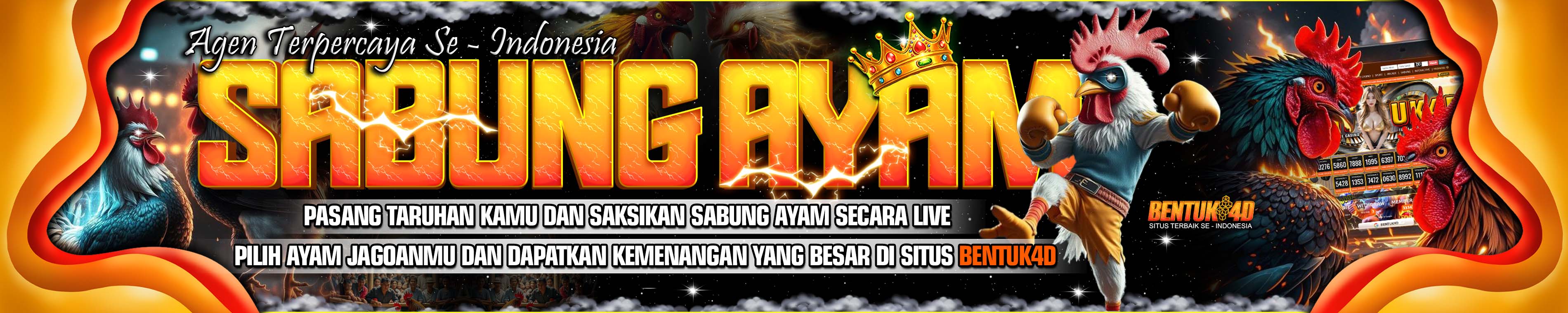 sabung ayam bentuk4d